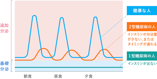健康な人と糖尿病患者 1日のインスリン分泌の変化