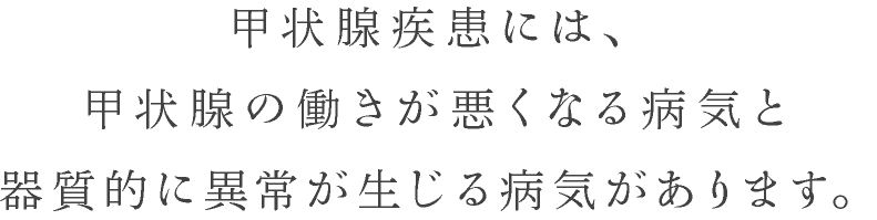 甲状腺外来  逗子金沢内科クリニック｜内科・糖尿病代謝内科・内分泌 