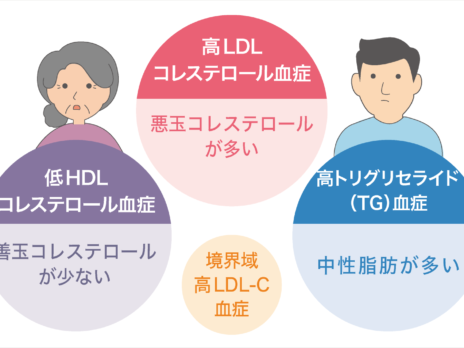 コレステロール 逗子金沢内科クリニック 内科 糖尿病代謝内科 内分泌甲状腺内科 睡眠時無呼吸外来