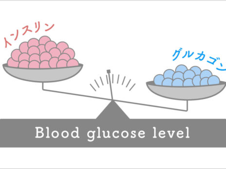 血糖値に応じて”自動調節”するため低血糖が起こりにくい「糖尿病新薬・DPP-4阻害薬」